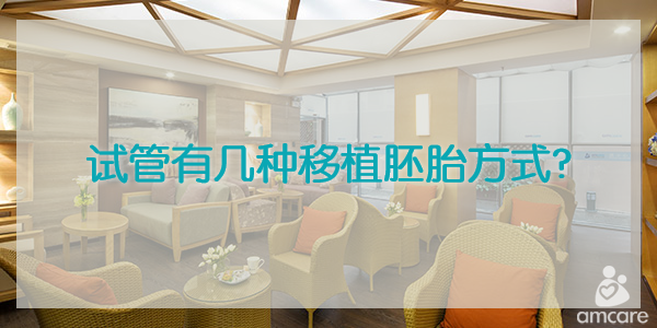 试管有几种移植胚胎的方式