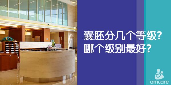 囊胚分几个等级,囊胚哪个级别最好